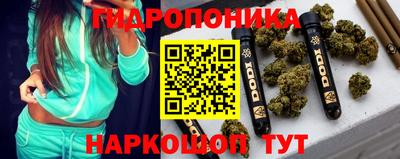 твердый Пугачёв