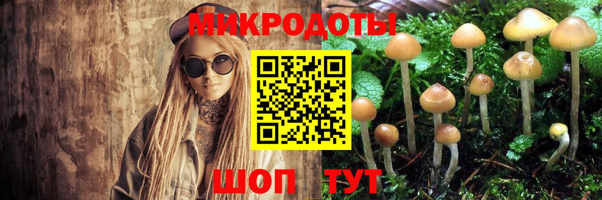 Галлюциногенные грибы прущие грибы  Вход с VPN  Ступино 