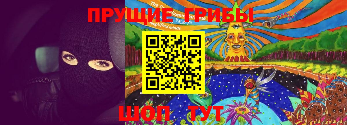 Псилоцибиновые грибы GOLDEN TEACHER Ступино