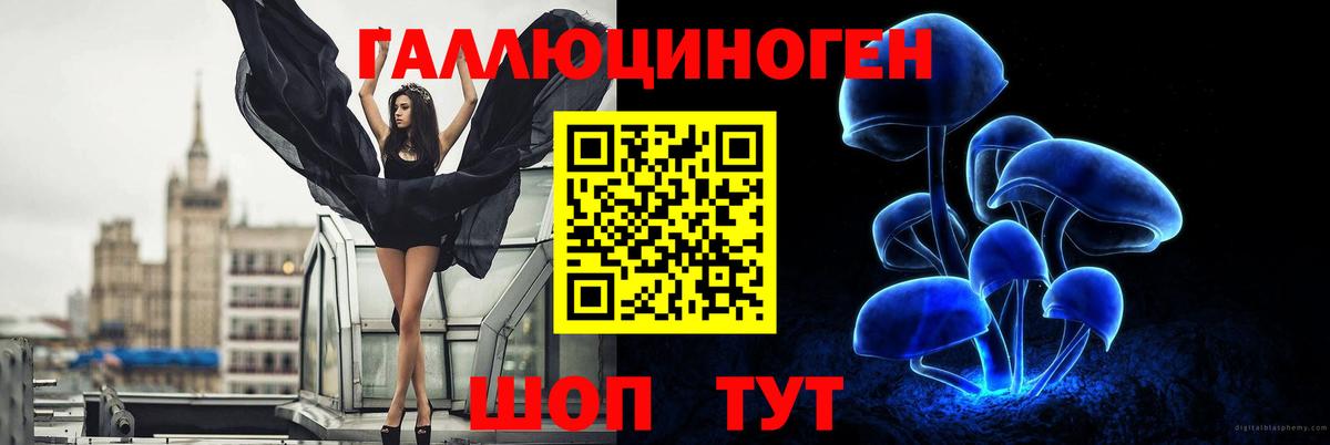 ГАШ Ступино